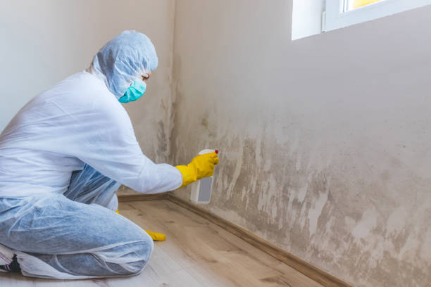 Licensed Crawl Space Mold Removal service in Warrington, FL - WQB Mold Removal