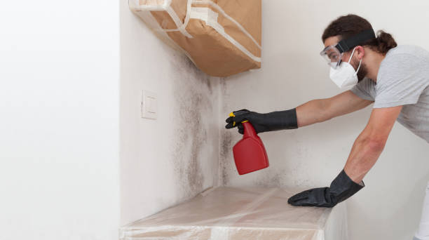 Professional Crawl Space Mold Removal technician working in Warrington, FL