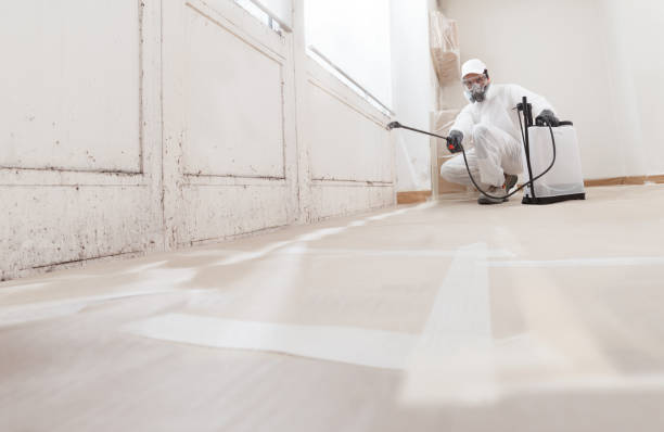 24/7 Emergency Crawl Space Mold Removal experts in Warrington, FL