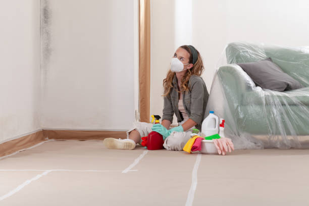 Reliable Crawl Space Mold Removal contractor in Warrington, FL by WQB Mold Removal