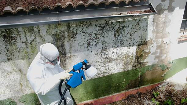 Top rated local Crawl Space Mold Removal specialists in Warrington, FL